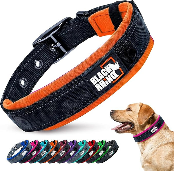 Custom Pet Collar with Name Tag – Durable Adjustable Collar for Dogs & Cats